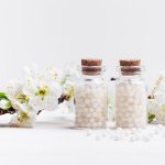 Pompoen medium Veerle