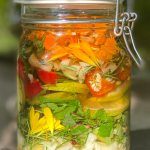 Pompoen medium Veerle