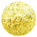 Pompoen medium Veerle