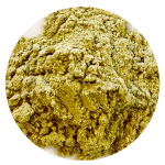 Pompoen groot Veerle