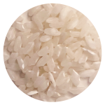 Pompoen medium Veerle