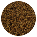 Pompoen medium Veerle