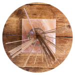 Pompoen medium Veerle