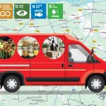 Pompoen medium Veerle