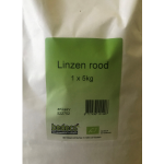 Pompoen medium Veerle