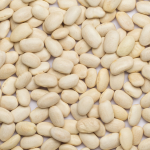 Pompoen medium Veerle