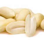 Pompoen medium Veerle