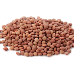 Pompoen medium Veerle