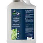 Pompoen medium Veerle