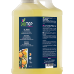 Pompoen medium Veerle