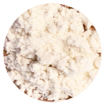 Pompoen medium Veerle