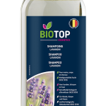 Pompoen medium Veerle