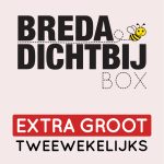 Breda Dichtbij Box Extra Groot - tweewekelijks