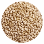 Quinoa