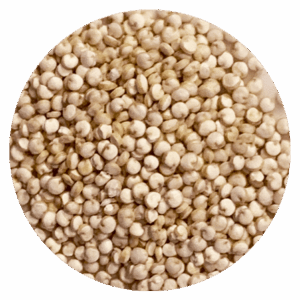 Quinoa